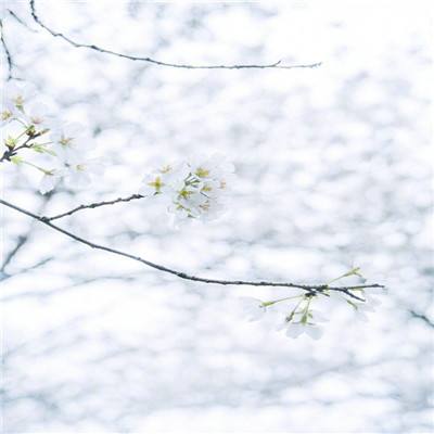 末日世界后天手游下载